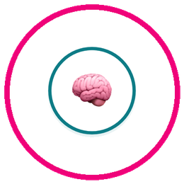 resource-badge-neurowiki
